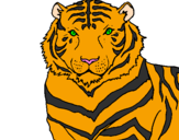 Coloring page Tiger painted bykyla 