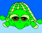 Coloring page Turtle painted bykaren$$