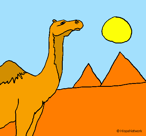 Coloring page Camel painted byPeter