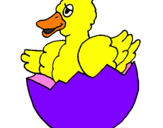 Coloring page Duckling in shell painted bykar