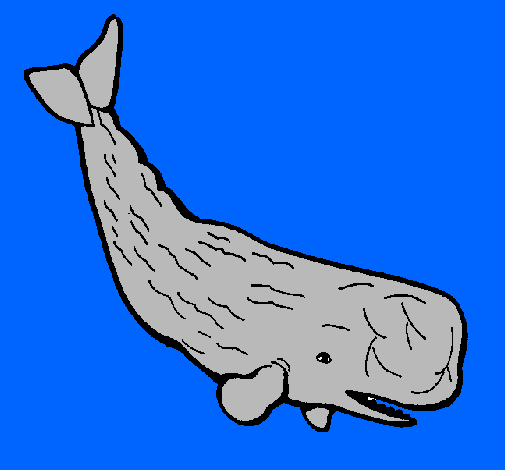Large whale