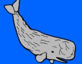 Coloring page Large whale painted byJALEN