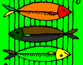 Coloring page Fish painted bym]yhh;msadetugmxstru