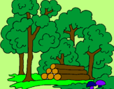Coloring page Forest painted byshorty