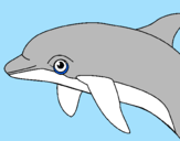 Coloring page Dolphin painted bymorgan