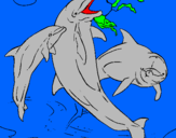 Coloring page Dolphins playing painted bymorgan