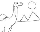 Coloring page Camel painted byemel
