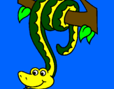 Coloring page Snake hanging from a tree painted by nate