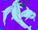 Coloring page Dolphins playing painted by nate