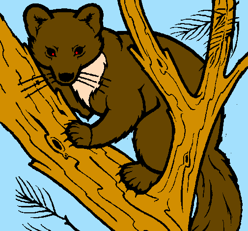 Coloring page Pine marten in tree painted bynm