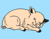 Coloring page Sleeping pig painted bydany