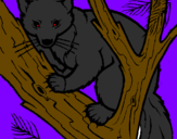 Coloring page Pine marten in tree painted byDanthon ruan mira