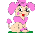 Coloring page Poodle painted byThieli