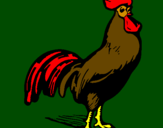 Coloring page Gallant cock painted bydavid
