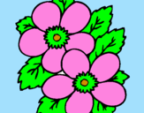 Coloring page Flowers painted byqintara