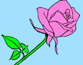 Coloring page Rose painted bymartina