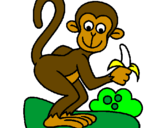 Coloring page Monkey painted bynelson