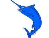 Coloring page Swordfish painted bylucca