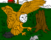 Coloring page Owl hunting painted bymoises