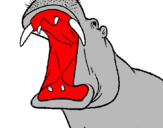Coloring page Hippopotamus with mouth open painted bymoises