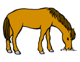 Coloring page Horse eating painted bymoises