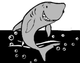 Coloring page Shark painted bylucca