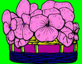 Coloring page Basket of flowers 12 painted bysofia