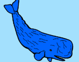 Coloring page Large whale painted byvalentin
