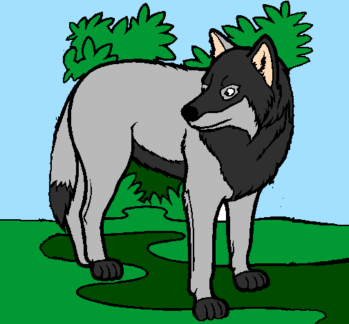 Coloring page Wolf painted bywolf