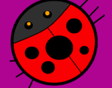 Coloring page Ladybird painted bymariana