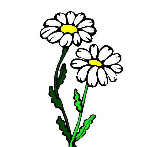 Coloring page Daisies painted byannie
