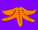 Coloring page Starfish painted byMom