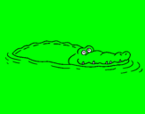 Coloring page Crocodile 2 painted byBruce 