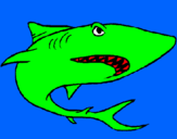 Coloring page Shark painted bytayaq