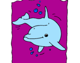 Coloring page Dolphin painted byerica duarte