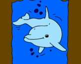 Coloring page Dolphin painted byFFFDoso