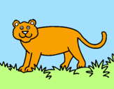Coloring page Panthera painted bybodi