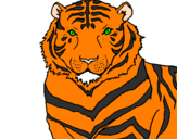 Coloring page Tiger painted bylalachica