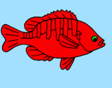 Coloring page Fish painted byrubaq