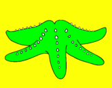 Coloring page Starfish painted byvitoria