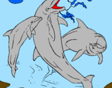 Coloring page Dolphins playing painted byjavier y joan