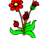 Coloring page Flowers painted byHELENA