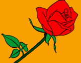 Coloring page Rose painted bylalachica