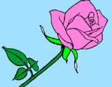 Coloring page Rose painted byisabella