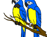 Coloring page Parrots painted bydiego