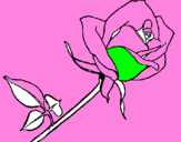Coloring page Rose painted byTHALIA