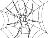 Coloring page Spider painted bycamilo