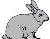 Coloring page Hare painted bylzjdb hyhgdhhhajjyhdhyhay
