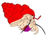 Coloring page Hermit crab painted bymason