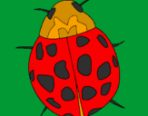 Coloring page Ladybird painted bymarkus